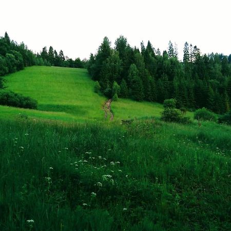 Domek W Gorach Pod Rysianka Zlatna 外观 照片
